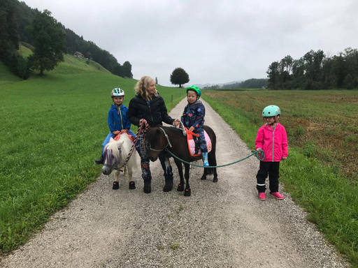 "Pony-Kurs" (Sommer 2021)