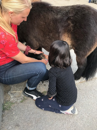 Kurs "Pony-Kurs" (Frühling 2019)