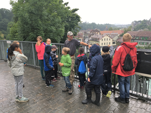 Kurs "Unsere Bären im Bärenpark" (Sommer 2019)