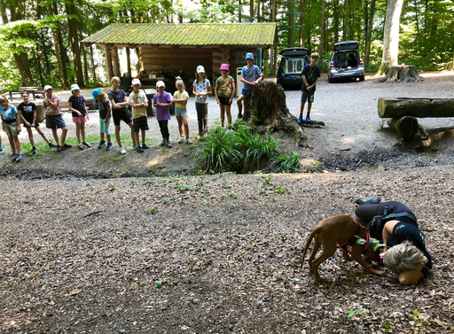 Kurs "REDOG - Vermisstensuchhunde bei der Arbeit" (Sommer 2022)