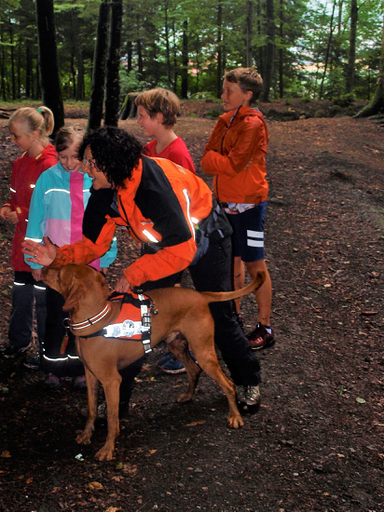 Kurs "REDOG - Vermisstensuchhunde bei der Arbeit" (Sommer 2019)