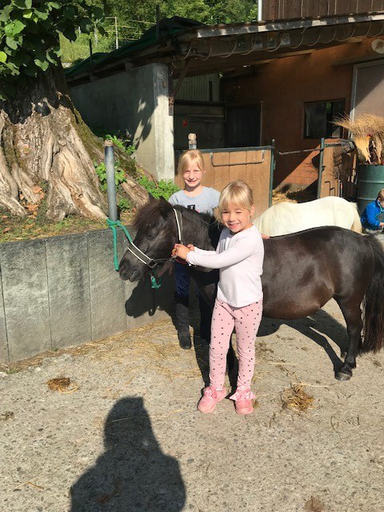 Kurs "Pony-Kurs" (Sommer 2019)