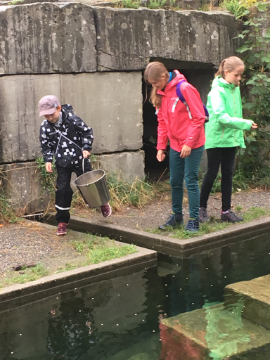 Kurs "Unsere Bären im Bärenpark" (Sommer 2019)