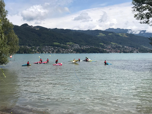 Kurs "Windsurfen" (Sommer 2019)