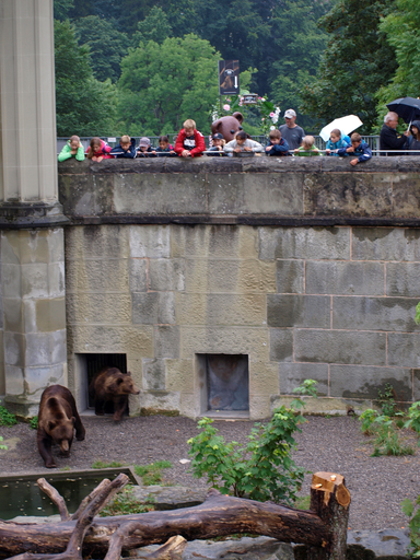 Kurs "Unsere Bären im Bärenpark" (Sommer 2019)