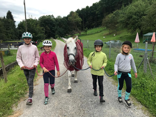 "Pony-Kurs" (Sommer 2021)